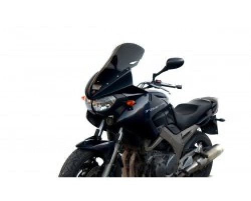 Motorcycle windshield YAMAHA TDM 900 TOURIST