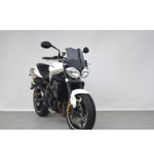 Motorcycle windscreen TRIUMPH Street Triple 675 Naked (40cm)