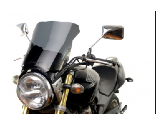 Motorcycle windshield HONDA CB 600 F Hornet TOURIST Motorcycle windshield HONDA CB 600 F Hornet TOURIST