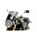 Motorcycle windshield HONDA CB 600 F Hornet STANDARD