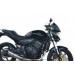 Motorcycle windshield HONDA CB 600 F Hornet Racing