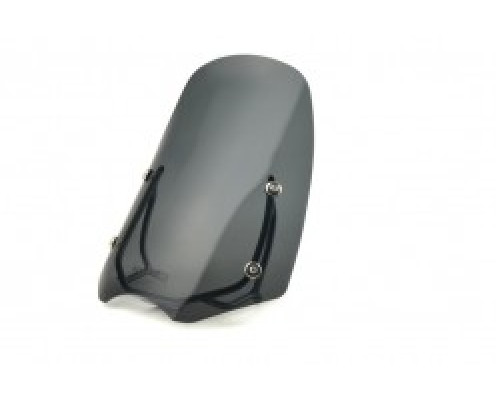 Motorcycle windscreen BMW R 850 R TOURIST Motorcycle windscreen BMW R 850 R TOURIST