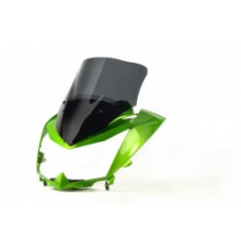 Motorcycle windshield KAWASAKI Z 750 R RACING