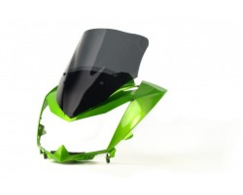 Motorcycle windshield KAWASAKI Z 750 R RACING Motorcycle windshield KAWASAKI Z 750 R RACING