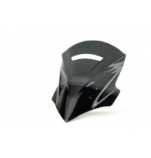 Motorcycle windshield KAWASAKI Z 1000 Model II TOURIST