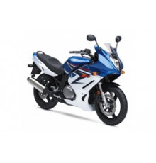 Motorcycle windshield SUZUKI GS 500 F STANDARD