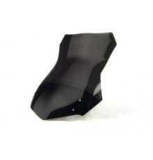 Motorcycle windscreen BMW F 650 GS TOURIST