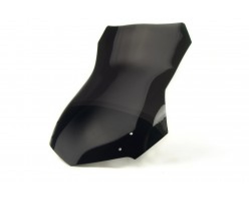 Motorcycle windscreen BMW F 650 GS TOURIST Motorcycle windscreen BMW F 650 GS TOURIST