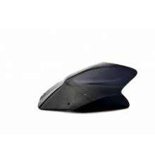 Motorcycle windshield KAWASAKI ER 6N NAKED (B)