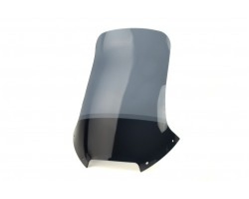 Motorcycle windscreen BMW F 650 ST TOURIST Motorcycle windscreen BMW F 650 ST TOURIST