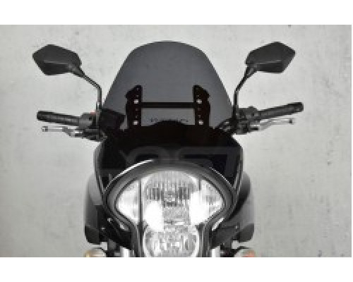 Kawasaki Versys 650 STANDARD motorcycle windshield