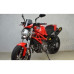 Motorcycle windshield DUCATI Monster 1100 RACING