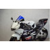 Motorcycle windshield HONDA CBR 954 RR RACING