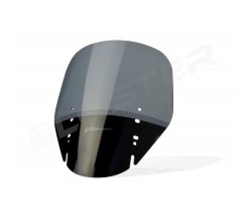 Motorcycle windshield SUZUKI DL V-Strom 1000 STANDARD