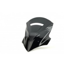 Motorcycle windshield KAWASAKI KLE 500 Model II TOURIST