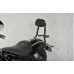 PASSENGER BACKREST WITH TRUNK BMW R18 2021-