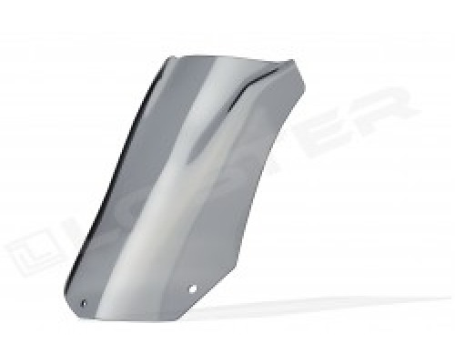 Motorcycle windscreen BMW F 800 S/ST TOURIST