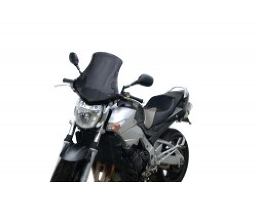 Universal motorcycle windshield U1T Universal motorcycle windshield U1T